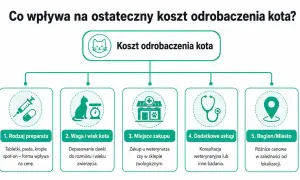 Ile kosztuje odrobaczenie kota? Zależy od preparatu, wagi, miejsca zakupu, dodatkowych usług i regionu.