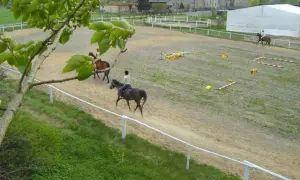 Stadnina koni Ruda Śląska: Omega vs. Rancho którą wybrać?