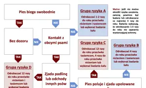 Schemat odrobaczania psów: jak często odrobaczać psa zależy od jego stylu życia. Pies wolno żyjący, mający kontakt z innymi psami lub zjadający padlinę, wymaga częstszego odrobaczania.