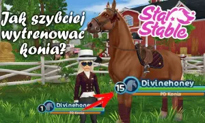 Jak prowadzić konia w SSO? Pełny poradnik i triki!