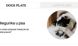 Chory piesek z zasłoniętymi oczami. Artykuł o biegunce u psa i kiedy należy udać się do weterynarza.