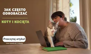 Kobieta z kotem na kolanach przy laptopie. Temat: jak często odrobaczać koty i kocięta.