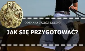 1. Odznaka Jeżdżę Konno: Co daje i dlaczego jest kluczowa?