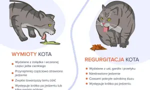Ilustracja pokazuje dwa koty. Jeden kot wymiotuje, z pyska wydobywa się zielona wydzielina. Drugi kot, z pełnym pyszczkiem, ma przed sobą kupkę jedzenia.