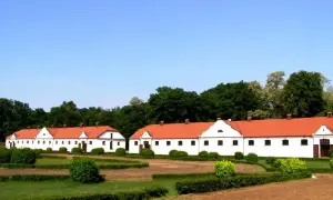 Stadnina Koni w Łącku: Historia, atrakcje, oferta. Czy warto?