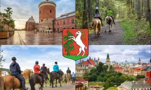 Stadniny koni Lublin: Usługi, ceny, porady znajdź idealne miejsce!