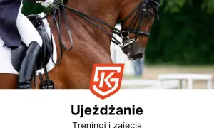 Jeździectwo naturalne Wrocław: Twój przewodnik po stajniach i cenach