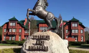 Stadnina koni Wawer: Cennik, oferta i jak wybrać idealną stajnię?