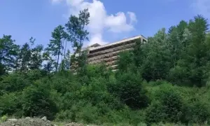 Warszowice: Stadnina zamknięta! Gdzie jeździć konno w okolicy?