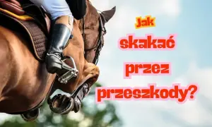 Skoki przez przeszkody: Jak zacząć? Koszty, sprzęt, trening