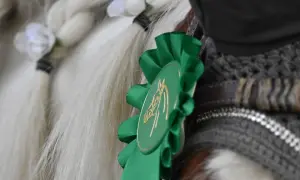 Koń z zaplecioną grzywą i zieloną rozetką z wizerunkiem głowy konia, gotowy do wolty.