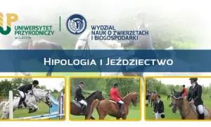 Studia hipologiczne w Poznaniu: Przewodnik dla pasjonatów koni