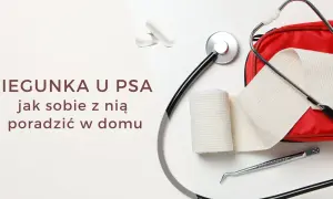 Biegunka u psa? Zestaw pierwszej pomocy z bandażem i stetoskopem, a także kapsułki, które mogą przypominać smecta dla psa.