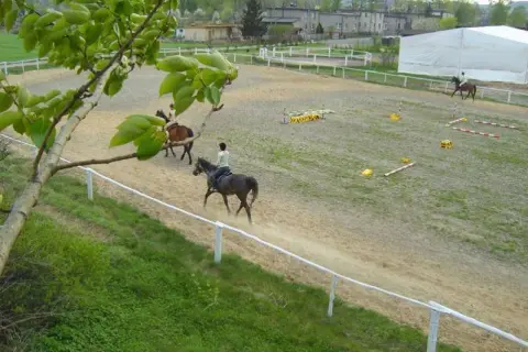 Stadnina koni Ruda Śląska: Omega vs. Rancho którą wybrać?