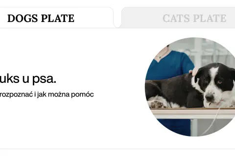 Pies z objawami refluksu u weterynarza. Jak rozpoznać refluks u psa i jak pomóc dietą?