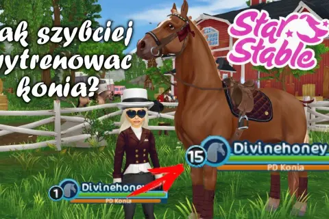 Jak prowadzić konia w SSO? Pełny poradnik i triki!