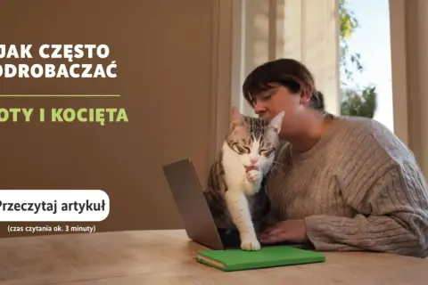 Kobieta z kotem na kolanach przy laptopie. Temat: jak często odrobaczać koty i kocięta.