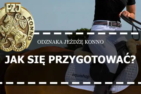 1. Odznaka Jeżdżę Konno: Co daje i dlaczego jest kluczowa?