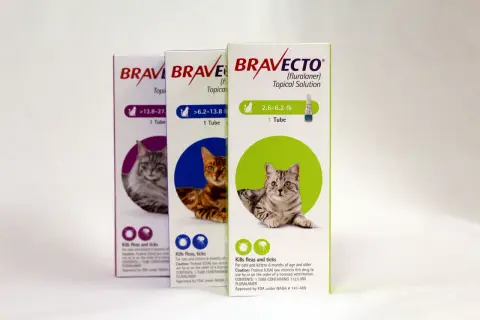 Trzy pudełka preparatu Bravecto dla kotów z wizerunkami kotów i informacjami o produkcie.