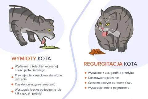 Ilustracja pokazuje dwa koty. Jeden kot wymiotuje, z pyska wydobywa się zielona wydzielina. Drugi kot, z pełnym pyszczkiem, ma przed sobą kupkę jedzenia.