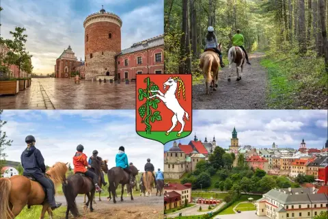 Stadniny koni Lublin: Usługi, ceny, porady znajdź idealne miejsce!