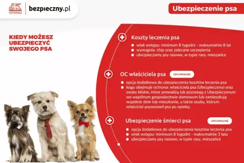 Trzy psy w eleganckich ubrankach (muszki, krawat) na białym tle, obok tekst o ubezpieczeniu psa.