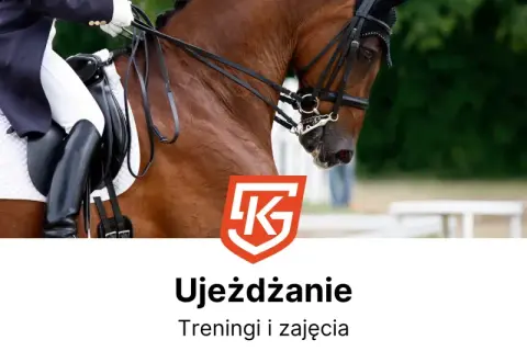 Jeździectwo naturalne Wrocław: Twój przewodnik po stajniach i cenach
