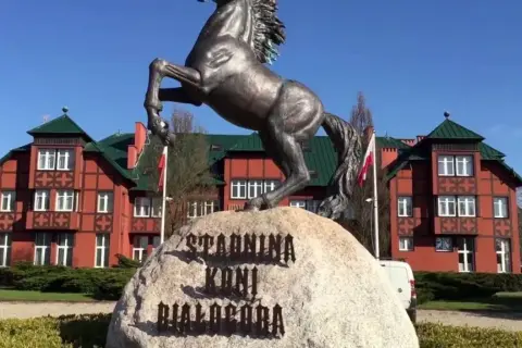 Stadnina koni Wawer: Cennik, oferta i jak wybrać idealną stajnię?