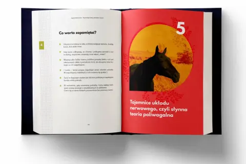 Czarna głowa konia na tle czerwonej strony książki z żółtym okręgiem i liczbą 5.