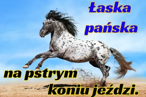 Łaska pańska na pstrym koniu jeździ: Jak nie dać się zaskoczyć?