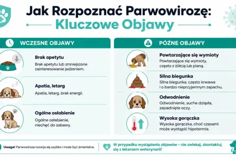 Wczesne i późne objawy parwowirozy u psów: brak apetytu, apatia, wymioty, biegunka, odwodnienie, gorączka.