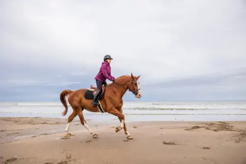 Jeździec w fioletowej kurtce galopuje na kasztanowatym koniu po plaży.