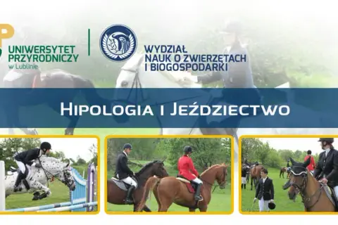 Studia hipologiczne w Poznaniu: Przewodnik dla pasjonatów koni