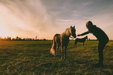 Zachód słońca na łące, gdzie dziewczyna głaszcze konia. Może szuka inspiracji na imiona dla koni?