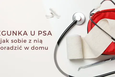 Biegunka u psa? Zestaw pierwszej pomocy z bandażem i stetoskopem, a także kapsułki, które mogą przypominać smecta dla psa.