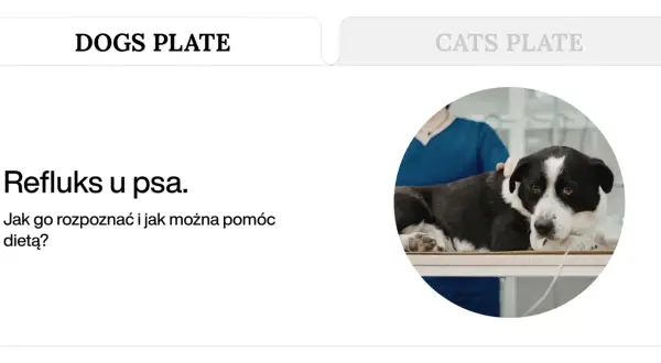 Pies z objawami refluksu u weterynarza. Jak rozpoznać refluks u psa i jak pomóc dietą?