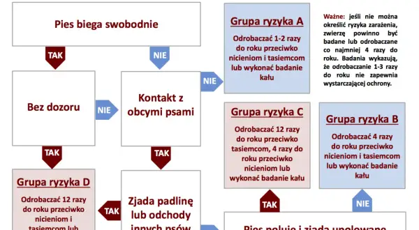 Schemat odrobaczania psów: jak często odrobaczać psa zależy od jego stylu życia. Pies wolno żyjący, mający kontakt z innymi psami lub zjadający padlinę, wymaga częstszego odrobaczania.
