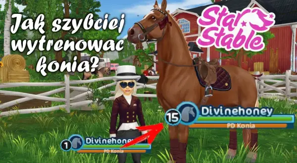 Jak prowadzić konia w SSO? Pełny poradnik i triki!
