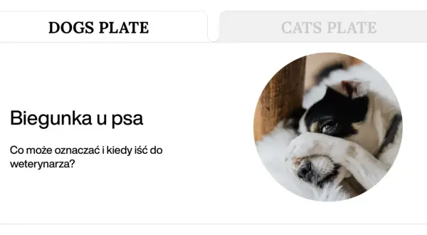 Chory piesek z zasłoniętymi oczami. Artykuł o biegunce u psa i kiedy należy udać się do weterynarza.