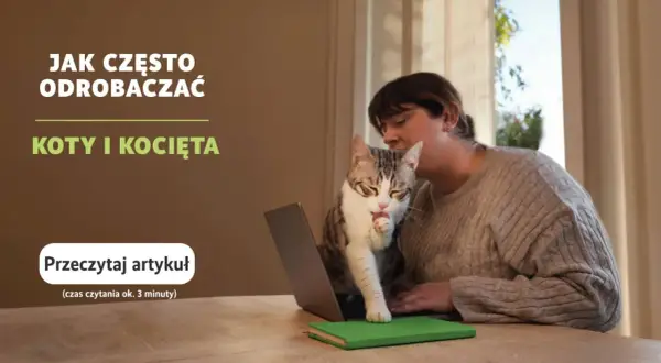 Kobieta z kotem na kolanach przy laptopie. Temat: jak często odrobaczać koty i kocięta.