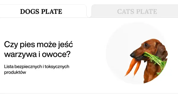 Jamnik z marchewką w pysku. Dowiedz się, jakie warzywa może jeść pies, by był zdrowy.
