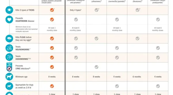 Porównanie produktów: Simparica TRIO, NexGard PLUS, NexGard, Heartgard Plus, Bravecto, Interceptor Plus. Tabela pokazuje, która tabletka od kleszczy dla psa najlepiej chroni przed pasożytami.