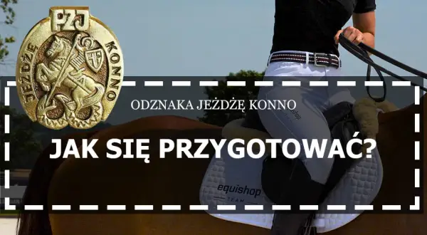 1. Odznaka Jeżdżę Konno: Co daje i dlaczego jest kluczowa?