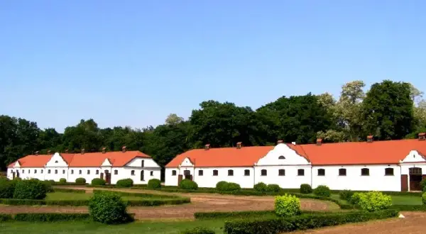 Stadnina Koni w Łącku: Historia, atrakcje, oferta. Czy warto?