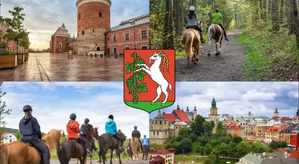 Stadniny koni Lublin: Usługi, ceny, porady znajdź idealne miejsce!