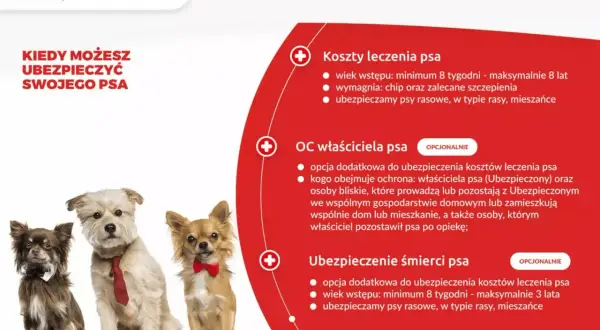 Trzy psy w eleganckich ubrankach (muszki, krawat) na białym tle, obok tekst o ubezpieczeniu psa.