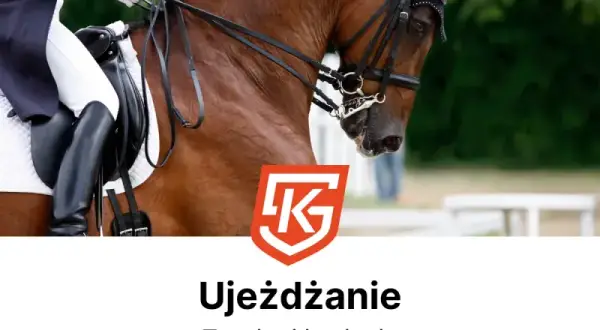 Jeździectwo naturalne Wrocław: Twój przewodnik po stajniach i cenach