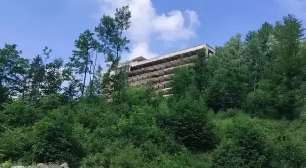 Warszowice: Stadnina zamknięta! Gdzie jeździć konno w okolicy?