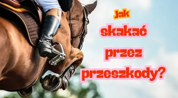 Skoki przez przeszkody: Jak zacząć? Koszty, sprzęt, trening