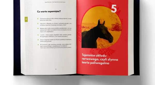 Czarna głowa konia na tle czerwonej strony książki z żółtym okręgiem i liczbą 5.